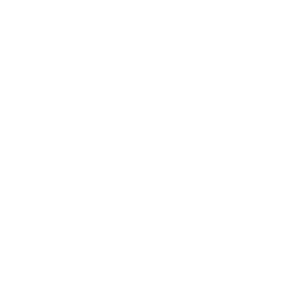 Logo 9