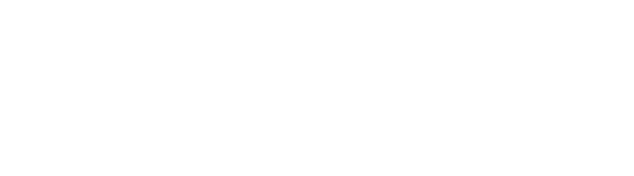 Logo 17